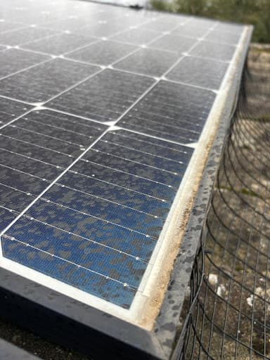 Pigeon Solar Panels — Customer photo