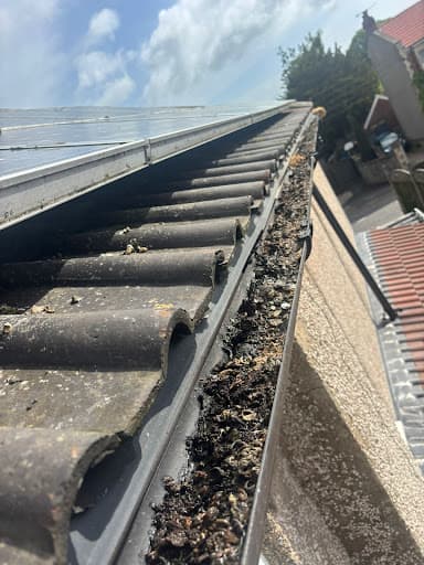 Pigeon Solar Panels — Customer photo