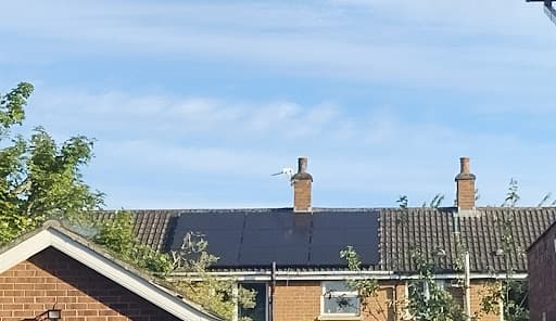 Blue Sky Energy Ltd — Customer photo