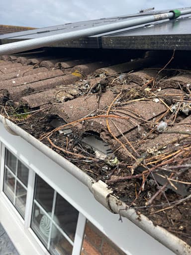 Pigeon Solar Panels — Customer photo