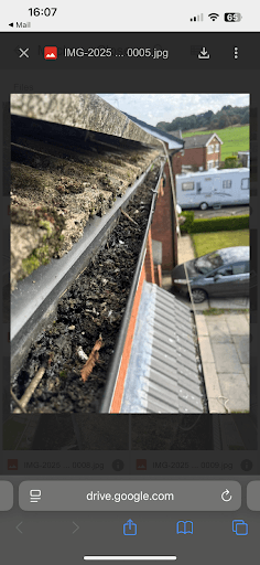 Pigeon Solar Panels — Customer photo
