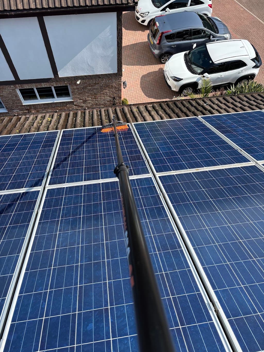 Pigeon Solar Panels