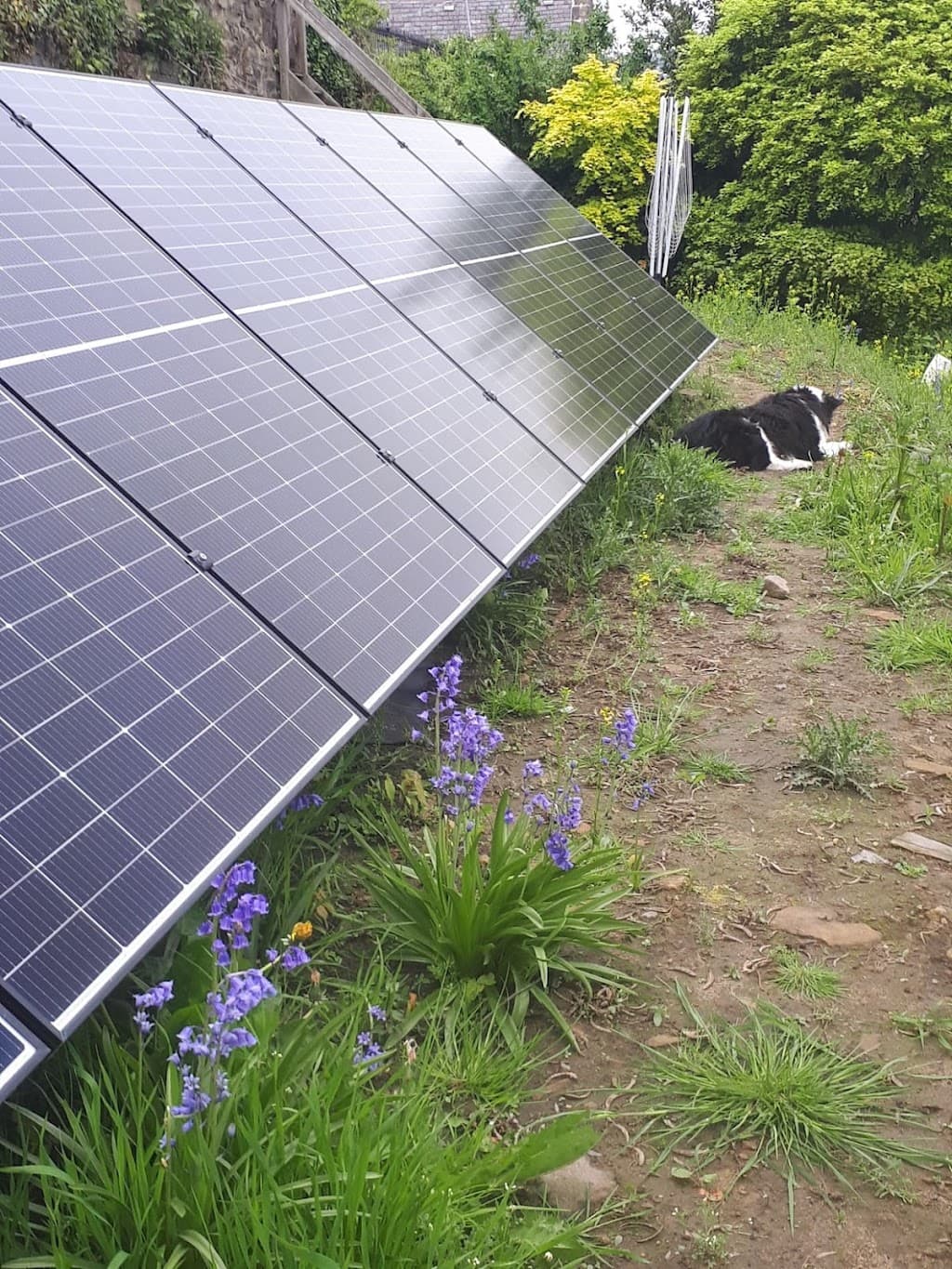P4 Solar Panels Yorkshire