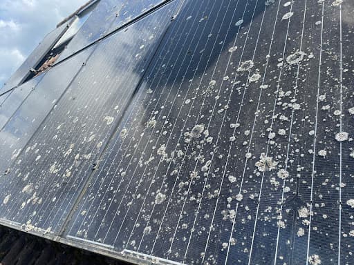 Solar Clean Hampshire — Customer photo