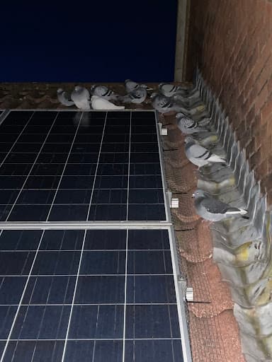 In Balance Energy (Swindon) — Customer photo