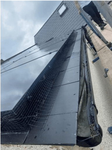 Future Green Cleaning — Customer photo