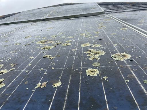 Solar Clean Hampshire — Customer photo
